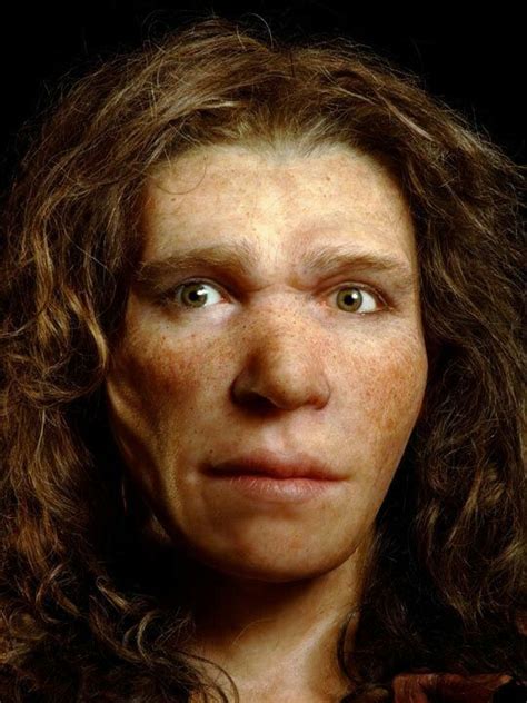 Facial Reconstruction Of A Netherlands Woman Ancient Humans