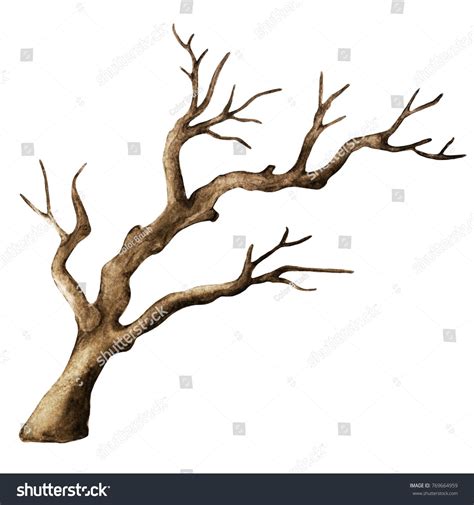 Watercolor Dry Tree Branch Bare Tree Stock Illustration 375135256 Tree