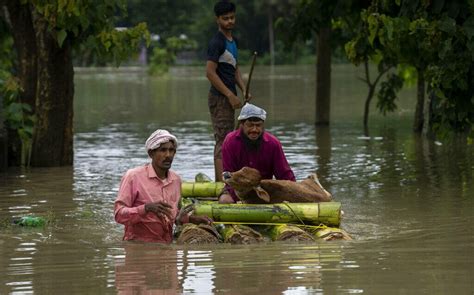Indias Assam Flood Death Toll Reaches 71 Reportaz