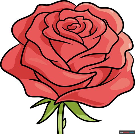 How To Draw A Realistic Rose Flower Really Cute Drawing Tutorial