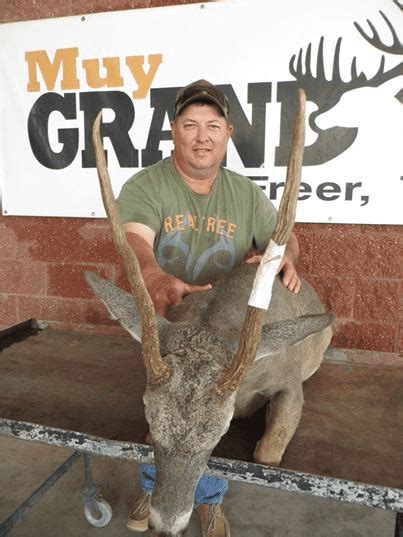 Texas 34 Inch Spike Buck Big Deer