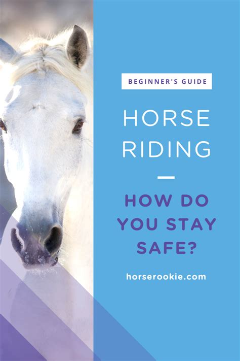 How To Ride A Horse For Beginners Basics Safety Mistakes Horses
