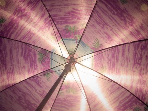 Striped Beach Umbrella Stock Image Image Of Pink Blue 116749973