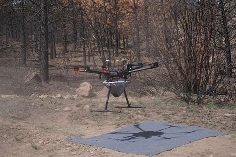 Restoration By Drone Dri And Partners Test New Method For Reseeding Native Forests After
