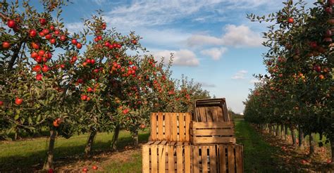 The Best Fall Activities In Upstate Ny Saratoga Apples And Hiking