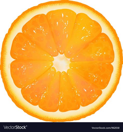 Orange Slice Background Royalty Free Vector Image