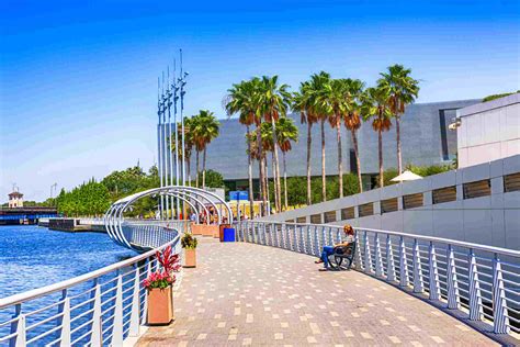 Top 17 Things To Do In Tampa Bay Florida