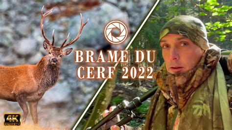 BRAME DU CERF 2022  Photographie Animalière  YouTube