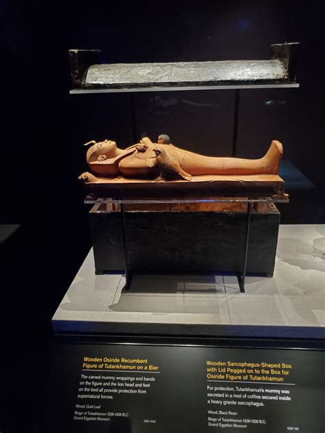 tutankhamun traveling exhibition 2020 saatchi gallery london lots of love buffy