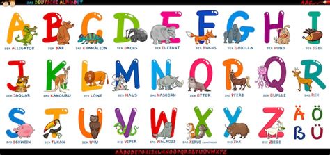 Alphabet Allemand Avec Animaux De Dessin Animé Vecteur Premium