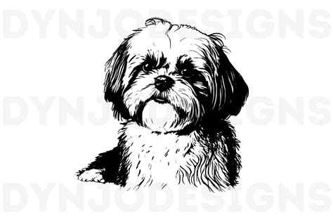 Shih Tzu Png Svg Clipart Vector Graphic By Dynjodesigns · Creative Fabrica
