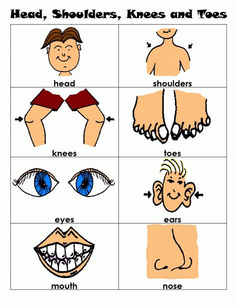 Head Shoulders Knees And Toes Learn It Learning The Parts Of Lesson