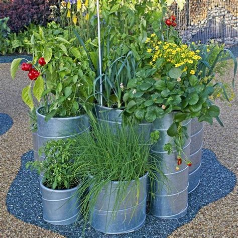 A Dozen Vegetables You Can Grow In Pots Taste Of Home