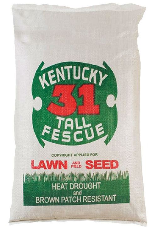 Tri Star Seed 50lb Kentucky 31 Tall Fescue Grass Seed 50 Pound At