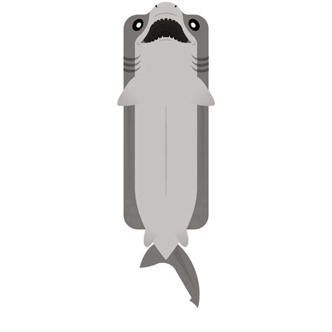 86 Best Frilled Shark Images On Pholder Deeeepioskins