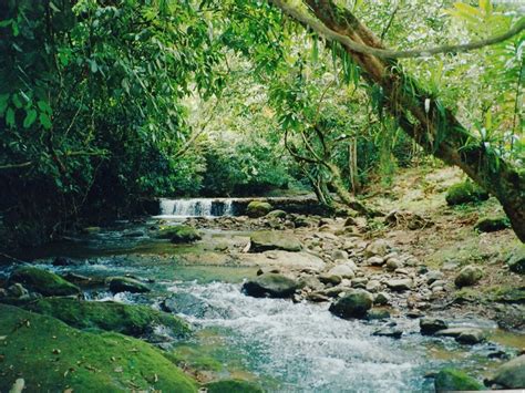 Beautiful Waterfall Property Near Dominical