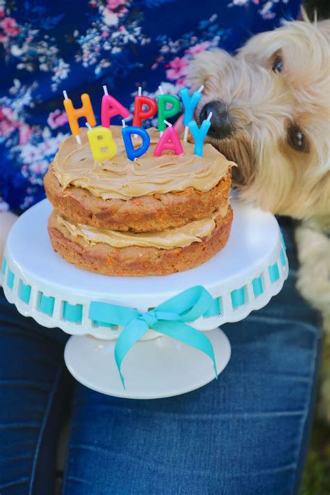 8 cups unsweetened cornflakes 2 cups unsweetened coconut 2 cups. Dog Birthday Cake Recipe For Your Furry Friend - Bigger Bolder Baking