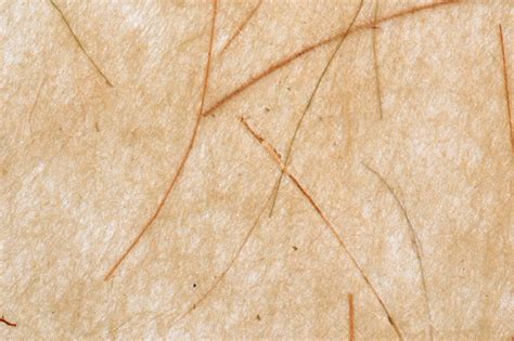 Fibrous Paper Free Photo Download Freeimages