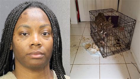 Sunrise Woman Arrested On Animal Cruelty Charges Youtube