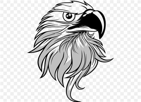 Bald Eagle Clip Art Png 504x598px Bald Eagle Art Beak Bird Bird