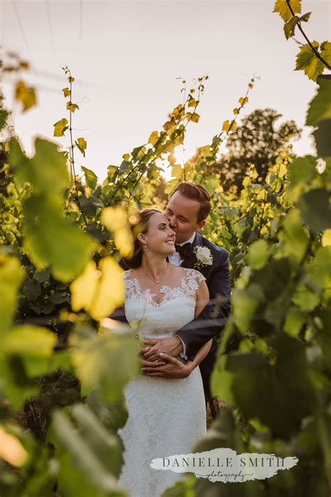 Bride And Groom In Vineyard At Sunset Winery Wedding Photos Wedding