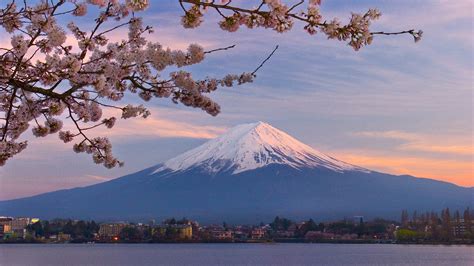 Mount Fuji Japan Mountains Mount Fuji Hd Wallpaper Wallpaper Flare