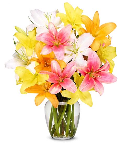 Check spelling or type a new query. Stunning Lily Bouquet at From You Flowers