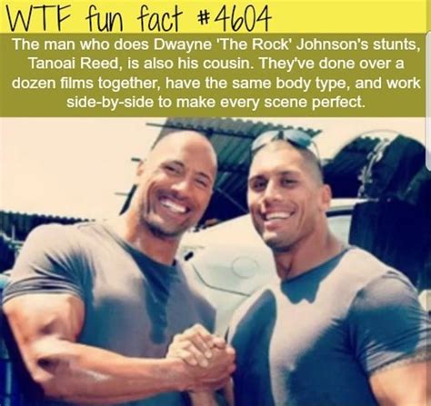 Pin By Pink David On Facts Wtf Fun Facts Fun Facts Funny Facts