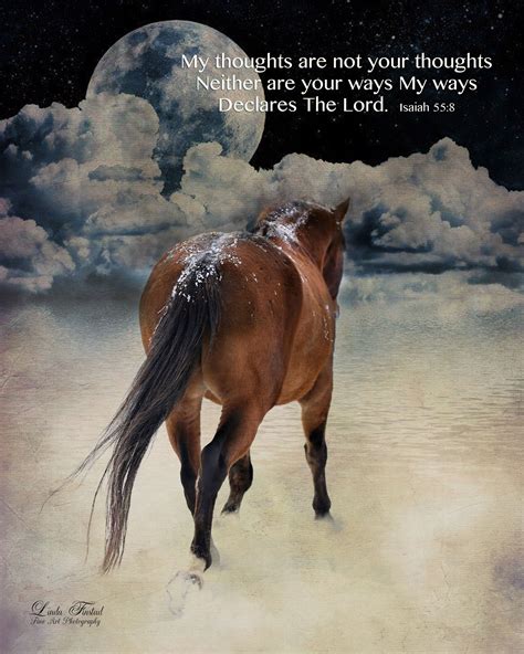 Pin On Bible Verses For Horse Lovers Book And Art