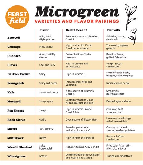 Mini And Mighty A Microgreen Flavor Guide Fruits And Vegetables
