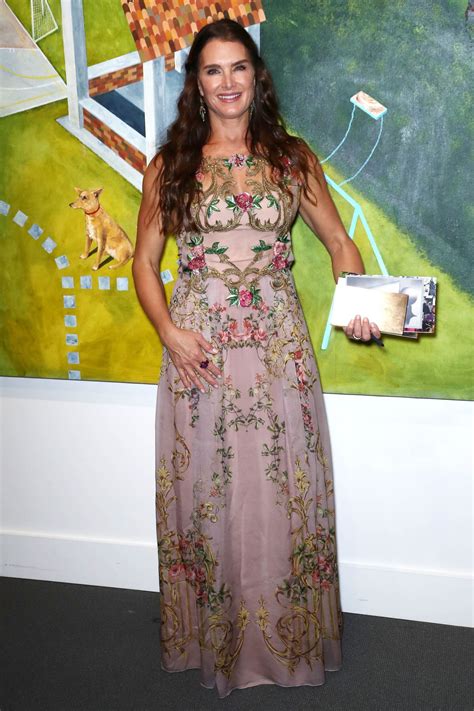 Brooke Shields At Take Home A Nude Annual Auction And Dinner In New