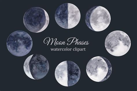 Moon Phases Watercolor Clipart Lunar Cycle Celestial Clip Art By