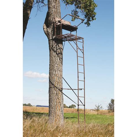 Api 18 Ultra Steel 2 Person Deluxe Ladder Tree Stand