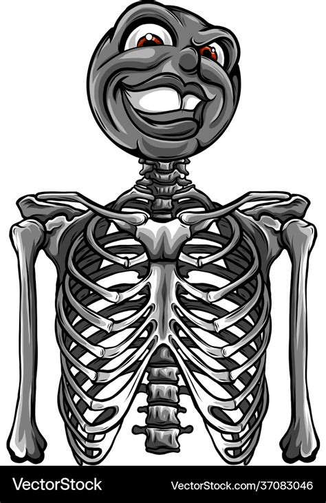 Design Cartoon Funny Skeleton With Smile Head Vector Image