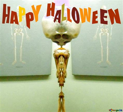 Happy Halloween Skeleton Download Free Picture №194464