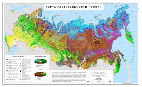 Vegetation Of Russia