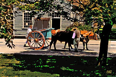The Oxcart Driver Photograph By Chaz Daugherty Fine Art America