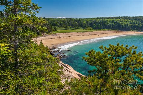 Sand Beach In Acadia Photograph By Susan Cole Kelly