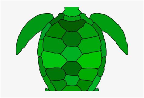 Sea Turtle Clip Art Png Image Transparent Png Free Download On Seekpng