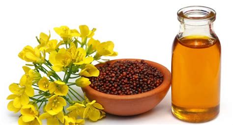 Health Benefits Of Mustard Seed Oil The Vedik Shop