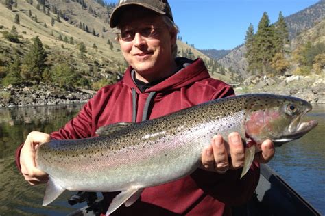 Experienced Steelhead Fishing Guides Salmon River Riggins Idaho