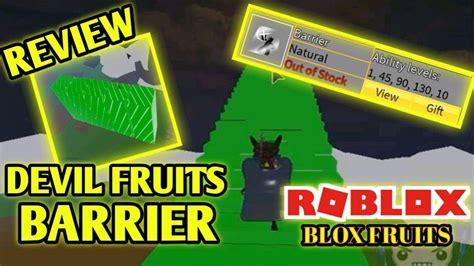 Review Devil Fruit Barrier Blox Fruits Roblox Indonesia Youtube