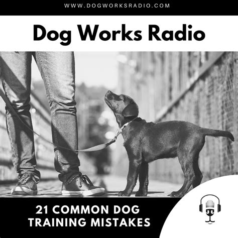 21 Common Dog Training Mistakes Dog Works Radio