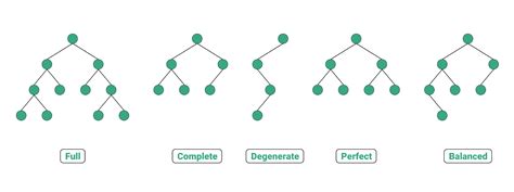 Different Types Of Binary Tree With Colourful Illustrations Binary
