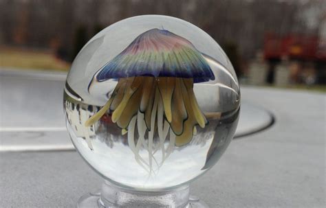 Kobuki First Jellyfish 3 Glass Marbles Glass Diy Arts And Crafts