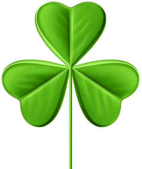 Shamrock Png Transparent Image Download Size 505x600px