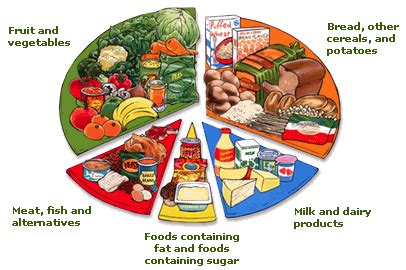 Fruits, vegetables, meats or beans, grains and dairy. Food Calorie Chart