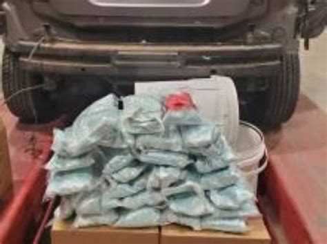 Feds seize narcotics worth more than $4.1M in San Diego busts – WSB-TV