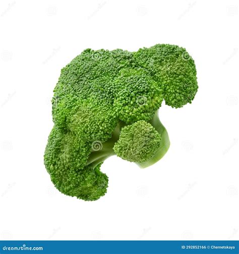 Fresh Raw Green Broccoli Isolated On White Stock Photo Image Of Color