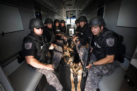 Spd Swat Team And K9 Officer Military Working Dogs Military Dogs